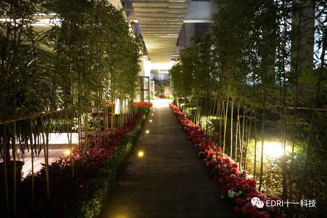 1538272534518366.jpg 15.jpg