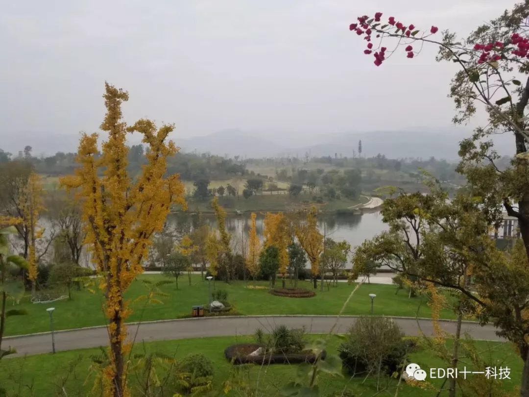 1543821226240350.jpg 7.jpg